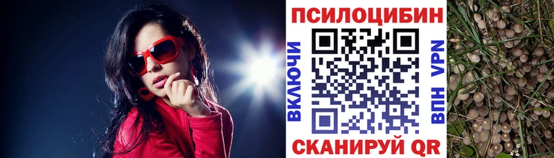 Галлюциногенные грибы прущие грибы  купить наркотики сайты  Серпухов 