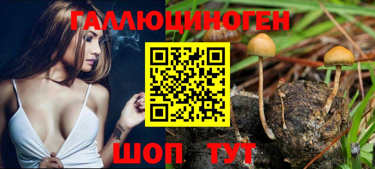 Серпухов  Галлюциногенные грибы Magic Shrooms  Псилоцибиновые грибы прущие грибы  Вход с VPN 